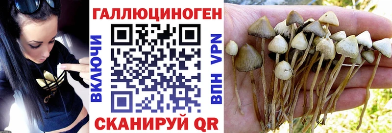 Галлюциногенные грибы ЛСД  Константиновск 